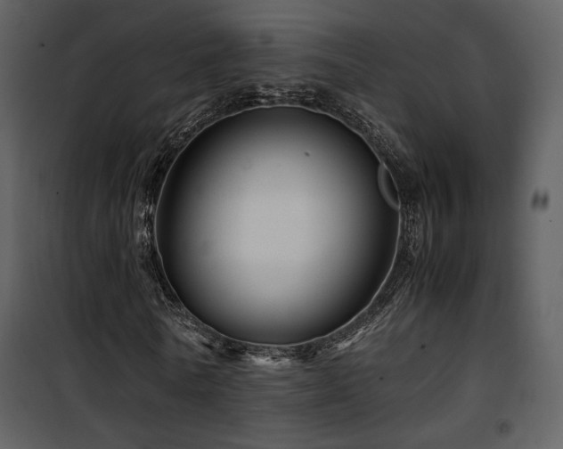 X0000101960770200807181040
