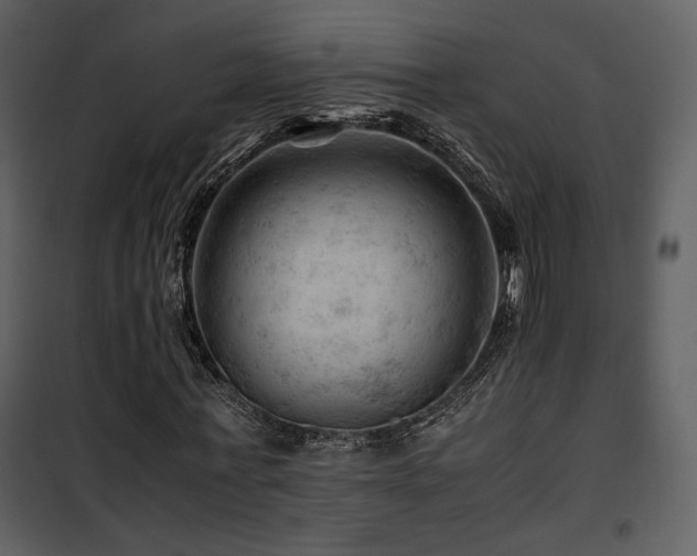 X0000101960771200807181040