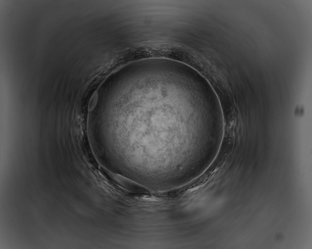 X0000101960772200807181040