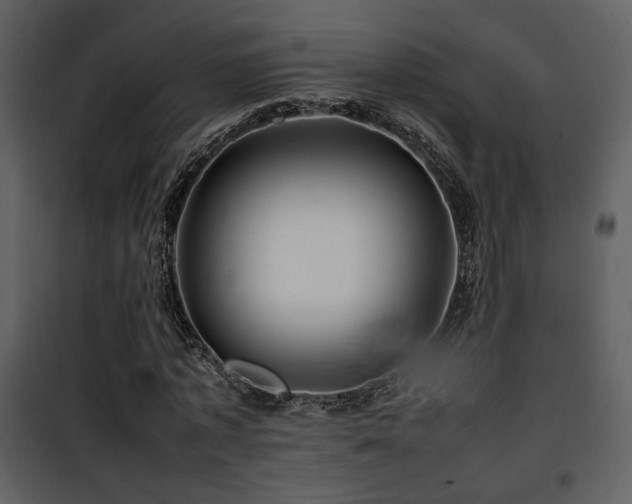 X0000101960773200807181040