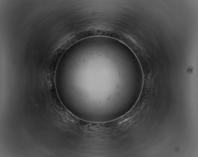 X0000101960774200807181040