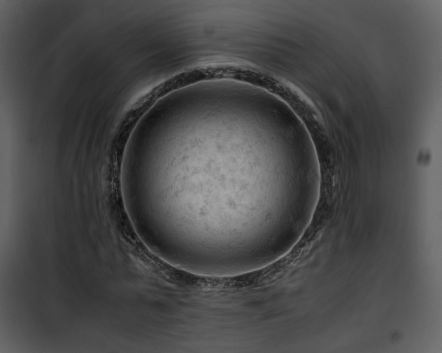 X0000101960775200807181040