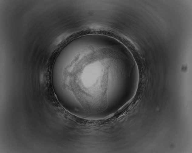 X0000101960776200807181040