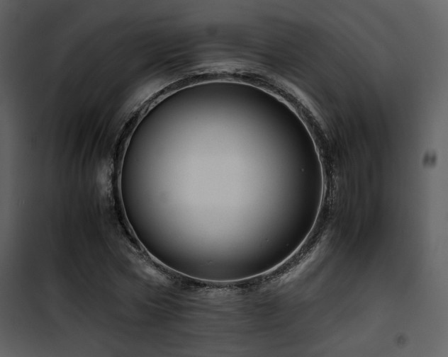 X0000101960778200807181040