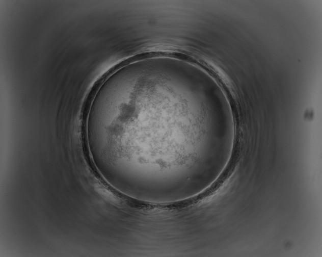 X0000101960779200807181040