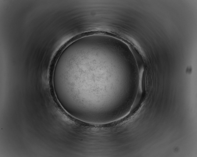 X0000101960780200807181040