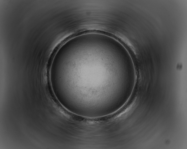 X0000101960782200807181040