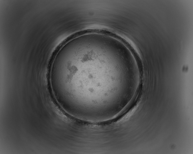 X0000101960783200807181040