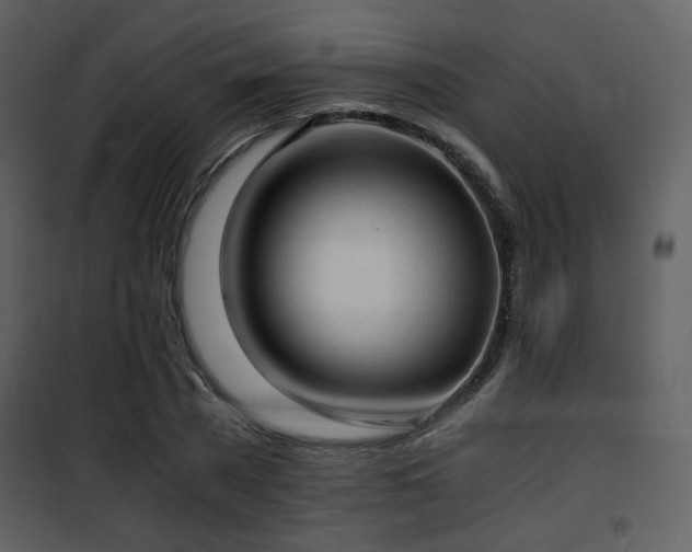 X0000101960785200807181040