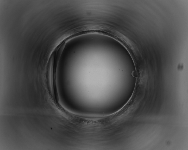 X0000101960786200807181040