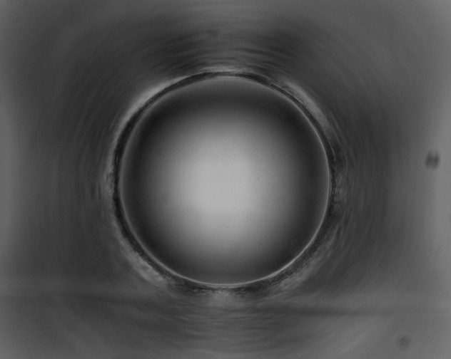 X0000101960787200807181040