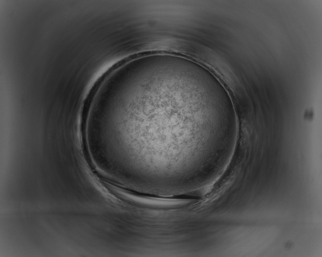 X0000101960788200807181040