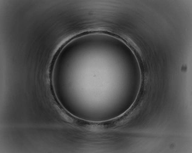 X0000101960789200807181040