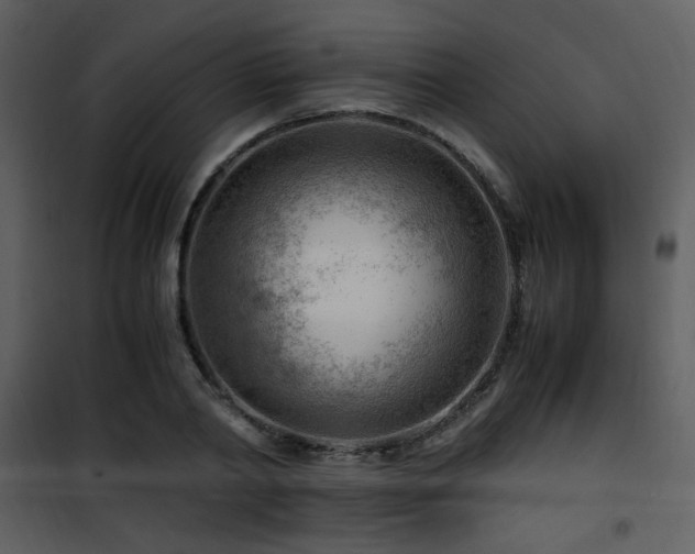 X0000101960790200807181039