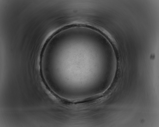 X0000101960791200807181039