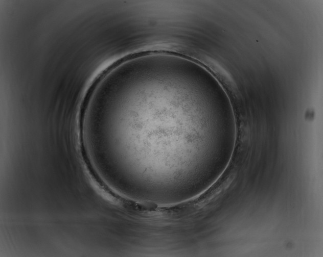 X0000101960792200807181039