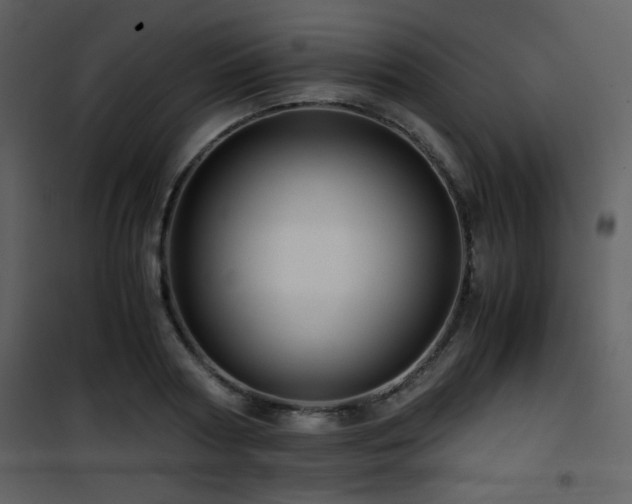 X0000101960794200807181039
