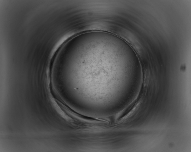 X0000101960796200807181039