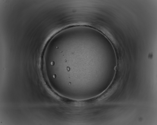 X0000101960797200807181039