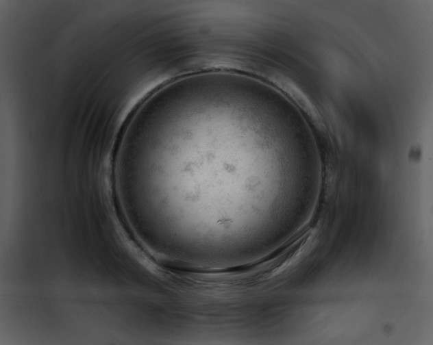 X0000101960798200807181039