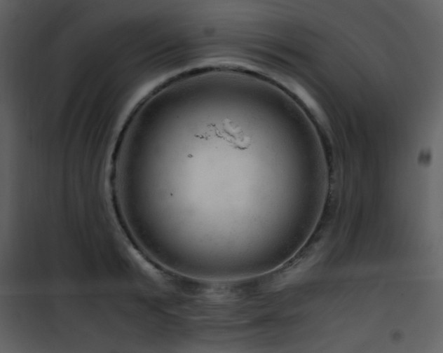 X0000101960799200807181039