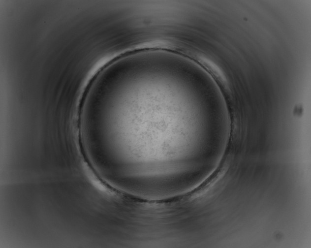 X0000101960800200807181039