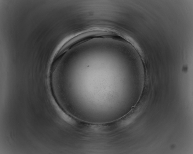 X0000101960803200807181039