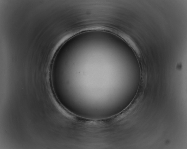 X0000101960805200807181039