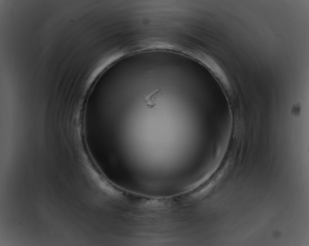 X0000101960806200807181039