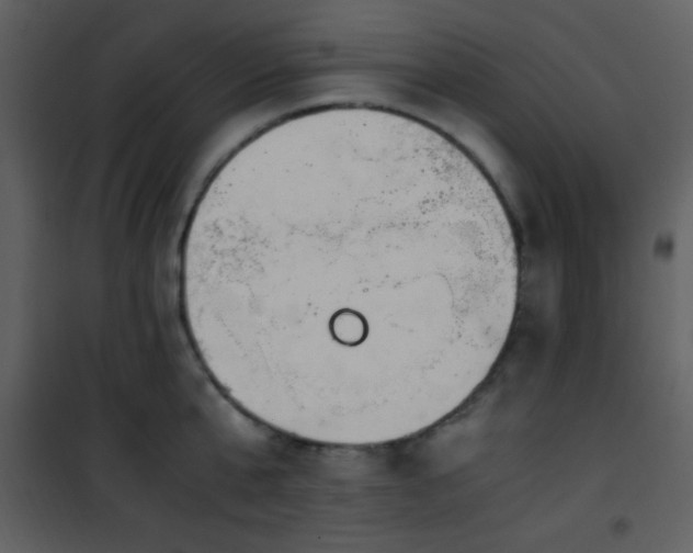 X0000101960807200807181039