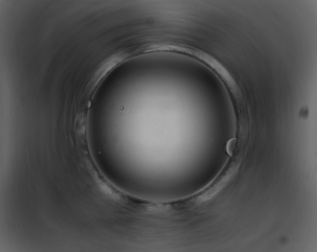 X0000101960809200807181039