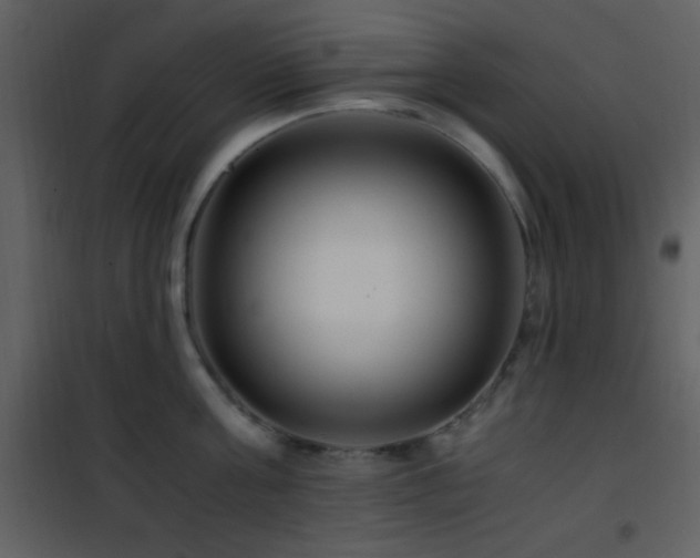 X0000101960811200807181039
