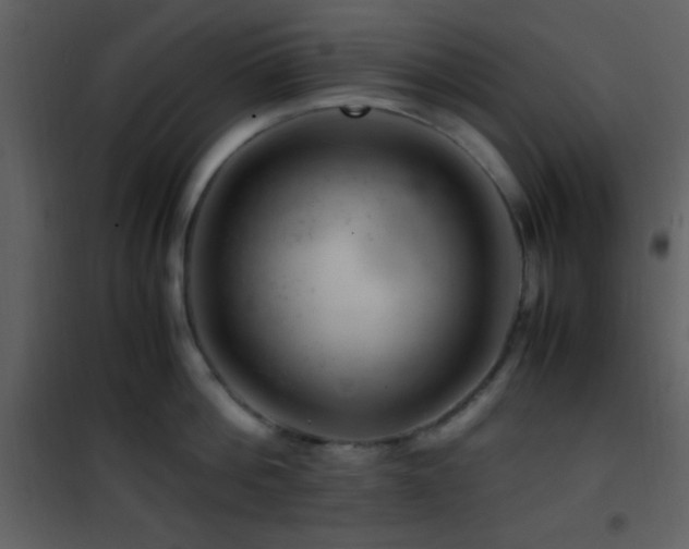 X0000101960812200807181039