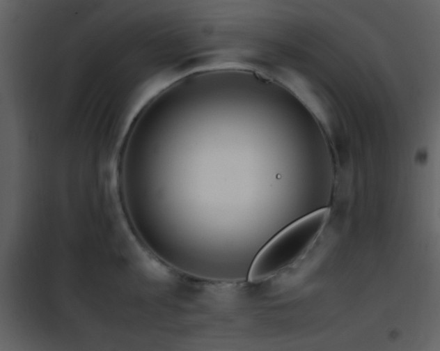 X0000101960813200807181039