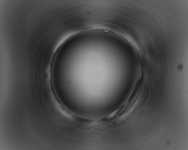 X0000101960814200807181039