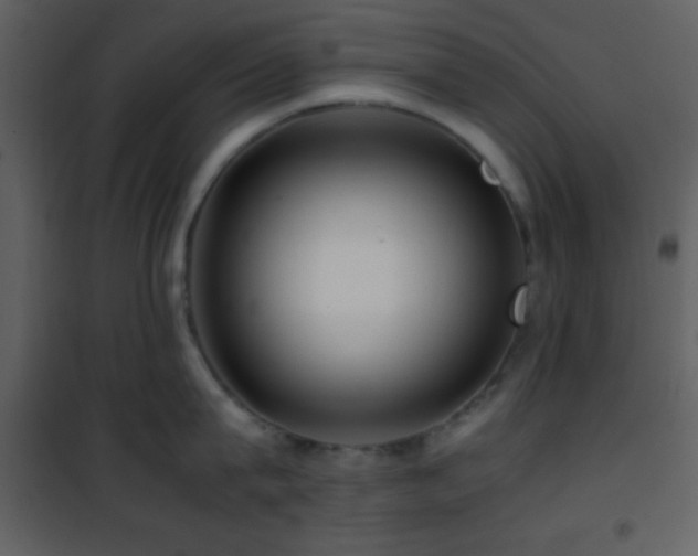 X0000101960815200807181039