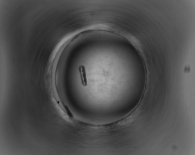 X0000101960816200807181039
