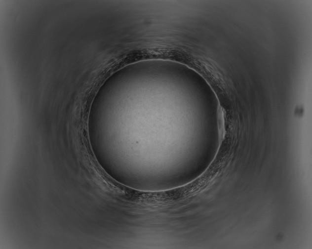 X0000101960817200807181038