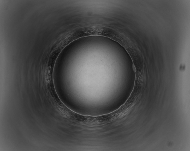 X0000101960818200807181038