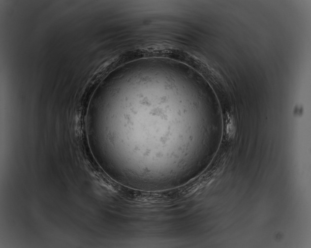 X0000101960819200807181038