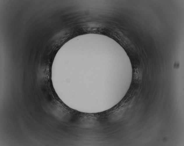 X0000101960820200807181038