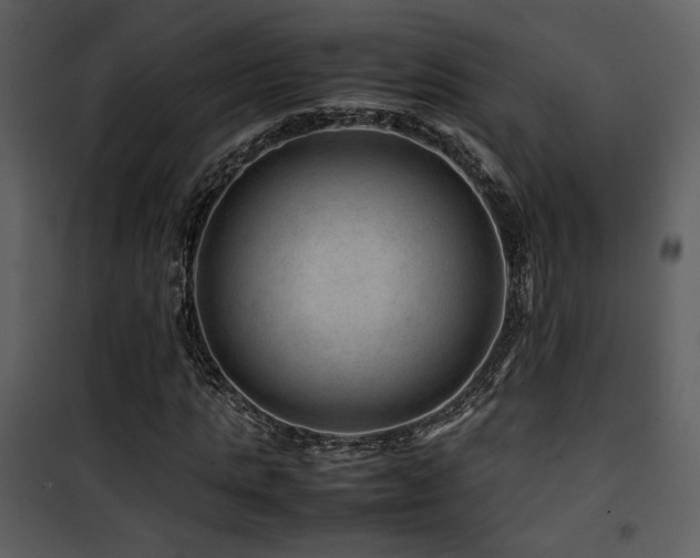 X0000101960821200807181038