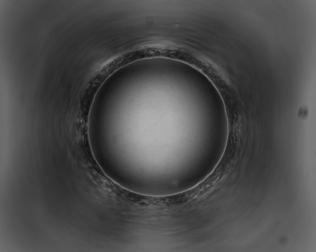 X0000101960822200807181038