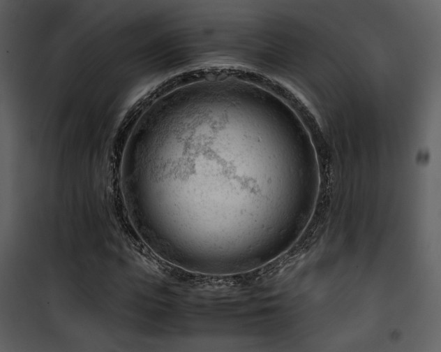 X0000101960823200807181038
