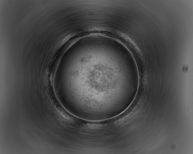 X0000101960825200807181038