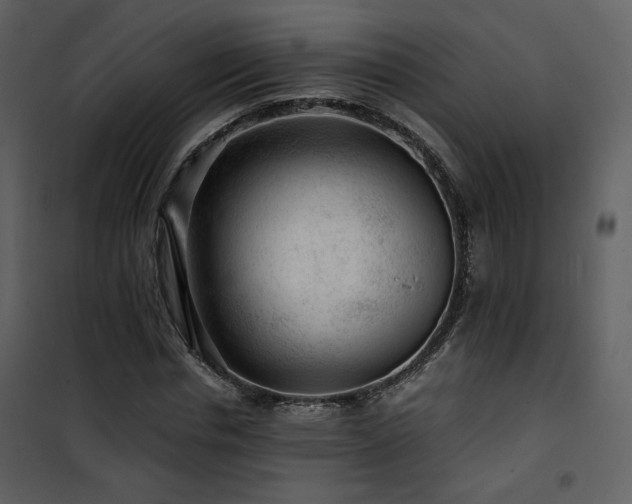 X0000101960826200807181038