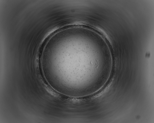 X0000101960827200807181038