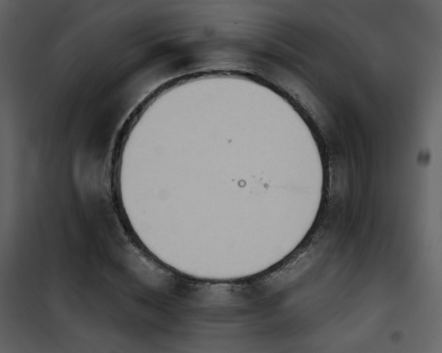 X0000101960828200807181038