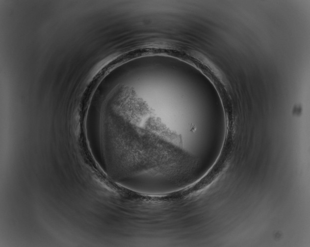 X0000101960829200807181038