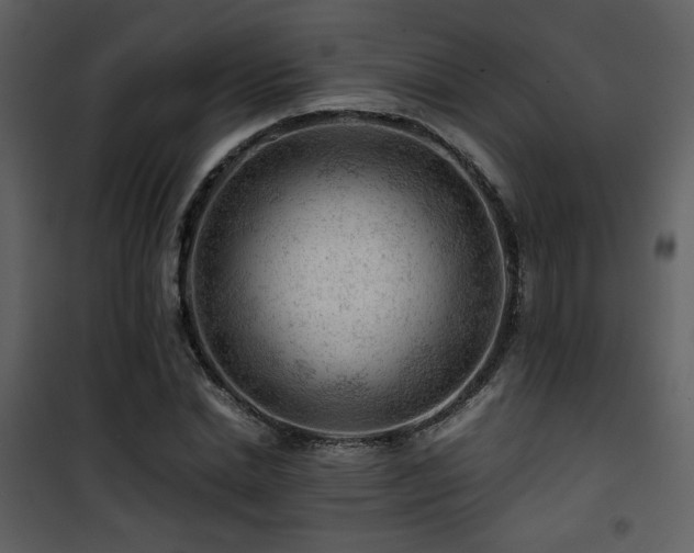 X0000101960830200807181038